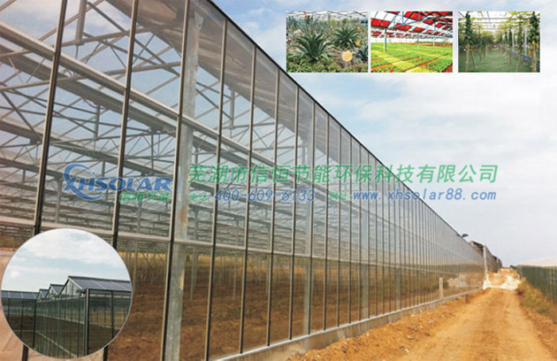 光伏農(nóng)業(yè)大棚解決方案 光伏農(nóng)業(yè)大棚解決方案