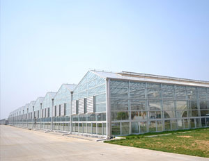 敏華農(nóng)業(yè)生態(tài)園230KW光伏農(nóng)業(yè)大棚項(xiàng)目 敏華農(nóng)業(yè)生態(tài)園230KW光伏農(nóng)業(yè)大棚項(xiàng)目